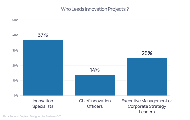 Who Leads Innovation Projects 